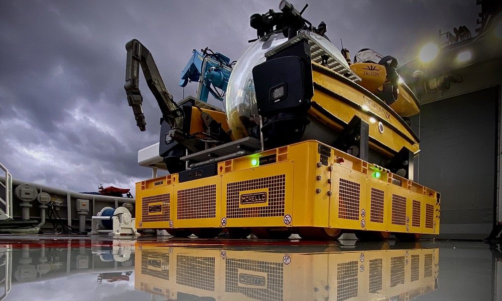 OMNI - immagine principale